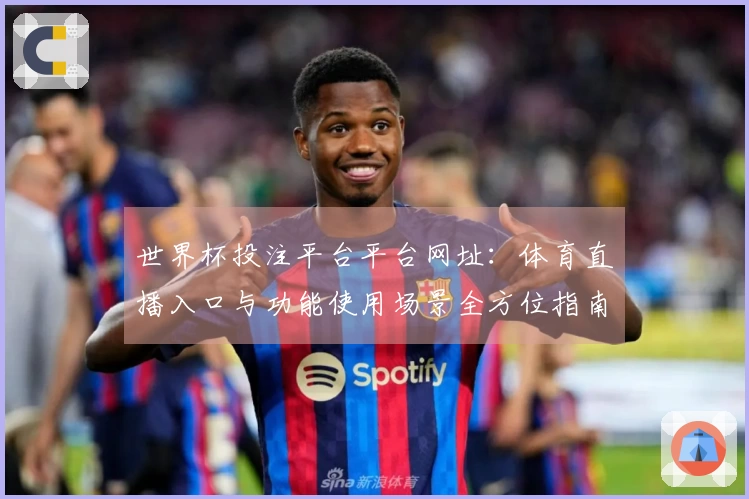 世界杯投注平台平台网址：体育直播入口与功能使用场景全方位指南