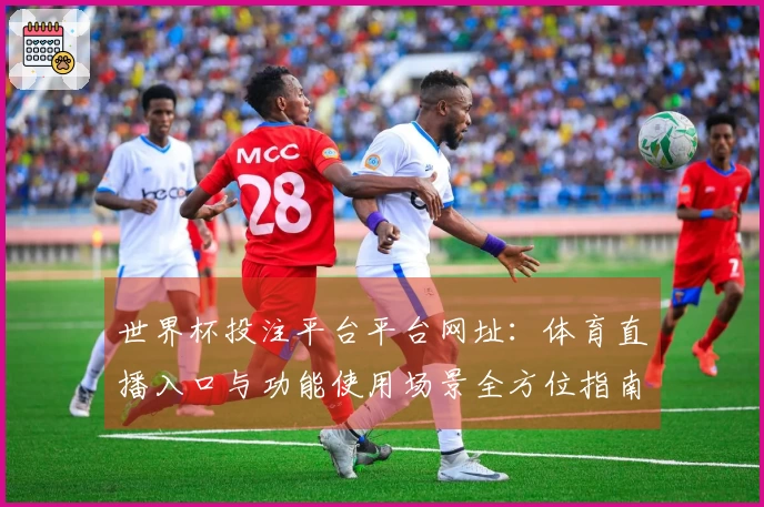 世界杯投注平台平台网址：体育直播入口与功能使用场景全方位指南
