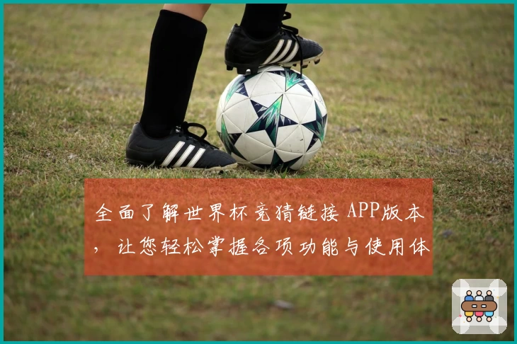全面了解世界杯竞猜链接 APP版本，让您轻松掌握各项功能与使用体验